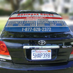 rear window wrap